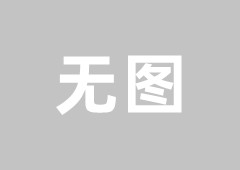 冬季开花花卉有哪些？它们的特点是什么？